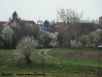 Imagine atasata: Bega - 2014.03.23 - 16.jpg